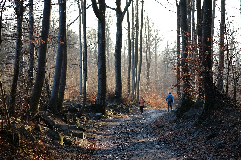 A január utolsó tíz napjára vonatkozó átlag felett alakul a hőmérséklet | Illusztráció: Pexels