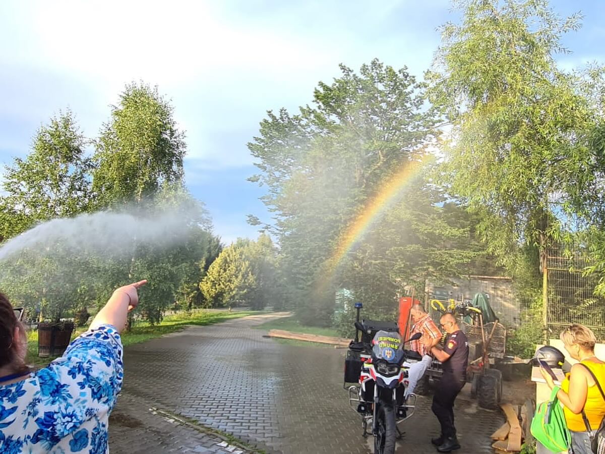 Barátság éjszakája az állatkertben | Fotó: Marosvásárhelyi Állatkert 