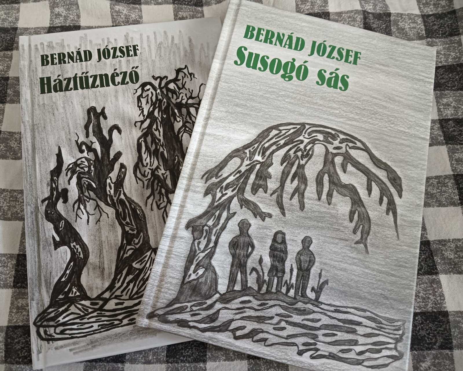 A szerző két kötete magánkiadásban jelent meg | Fotó: Nagy Imre