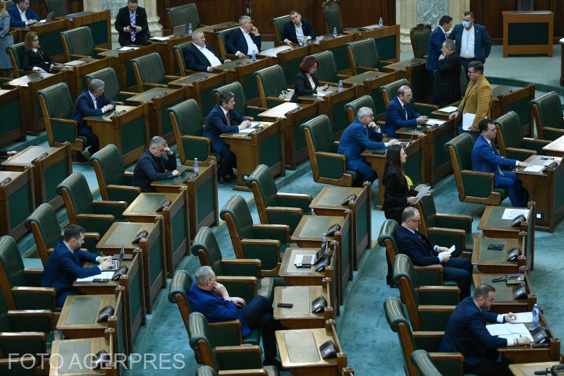 A szenátus kedden szavazott a törvénymódosítási javaslatról | Fotó: Agerpres