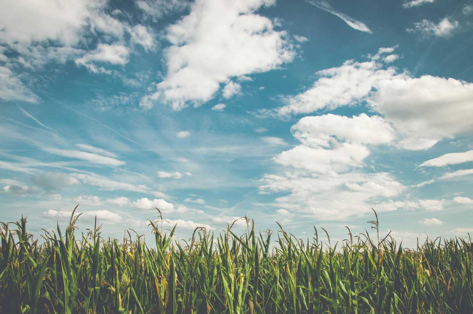 Szinte csapadékmentes időszak következik. | Fotó: Pixabay-Pexels