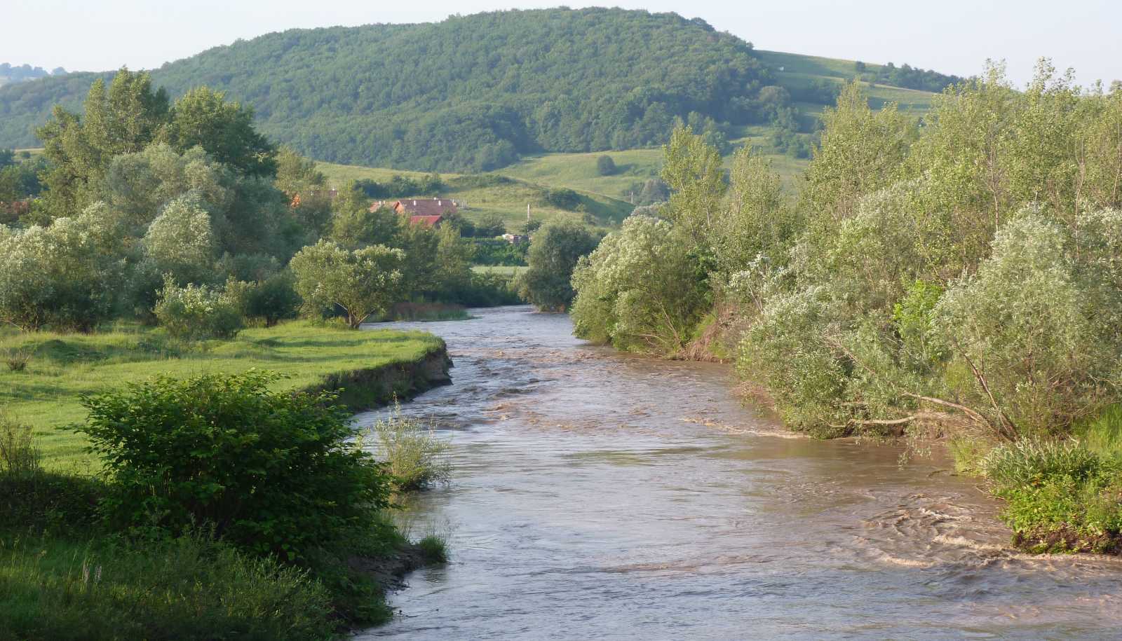 A Küküllő élővilága is áldozatául esett a bányakatasztrófának | Fotó: Wikipedia