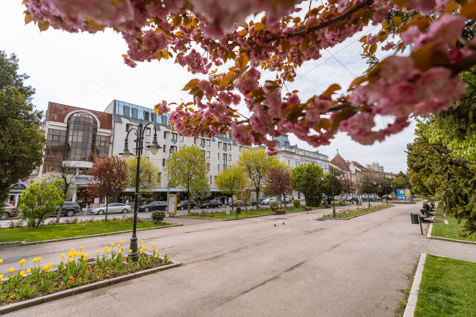 Vasárnaponként lezárják az autós forgalom elől Marosvásárhely főterét | Fotó: Mariș Cristian Daniel