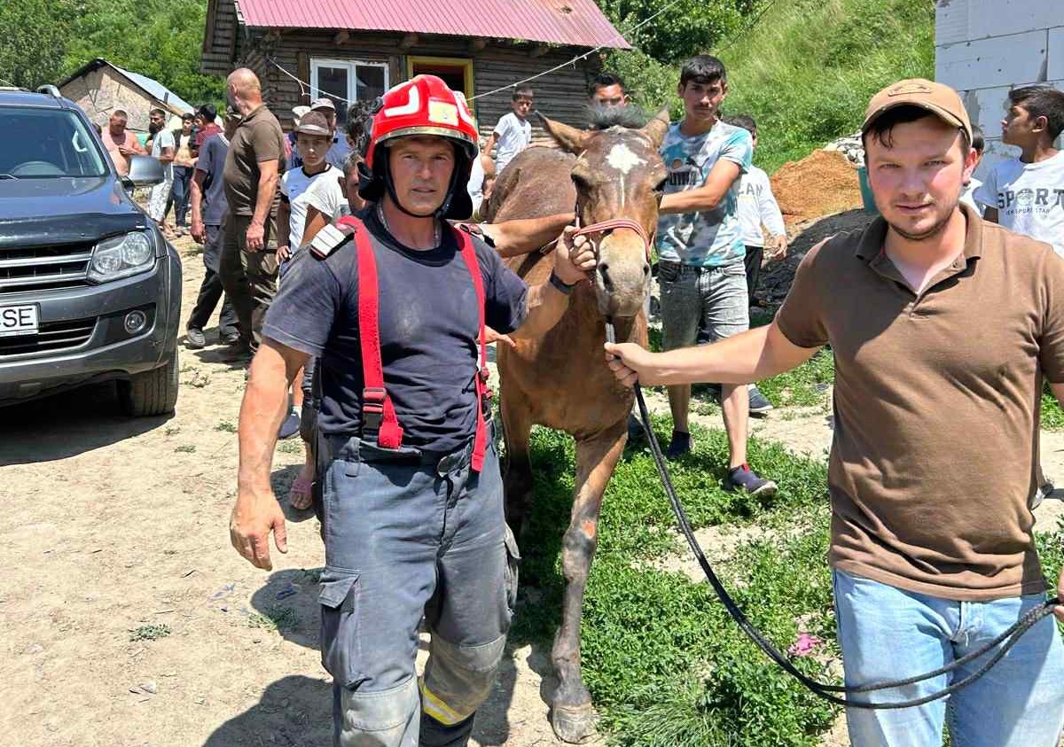 A ló sérülés nélkül megúszta | Fotó: Hargita megyei katasztrófavédelem