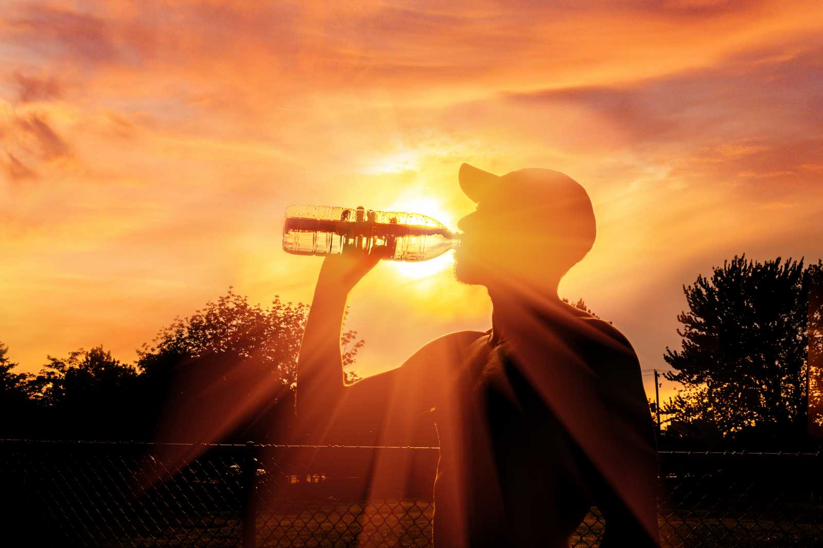 A nappali csúcshőmérséklet eléri a 38–40 Celsius fokot | Fotó: AdobeStock