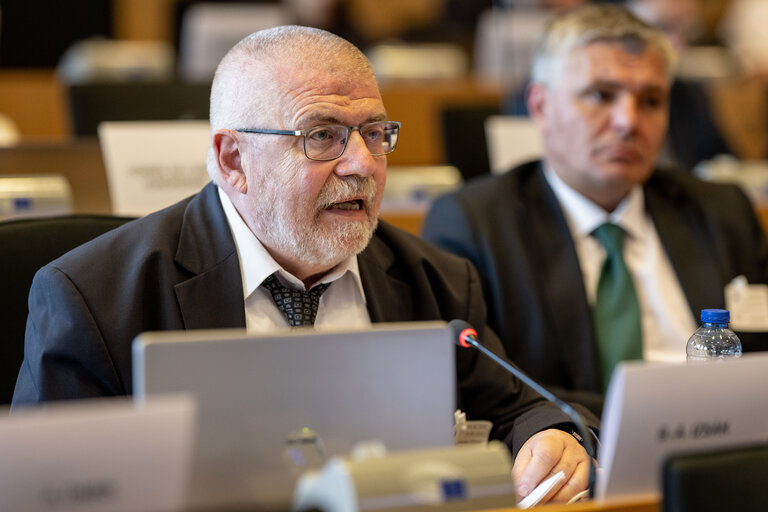 Izsák Balázs az EP Regionális Fejlesztési Bizottságának meghallgatásán | Fotó: SZNT