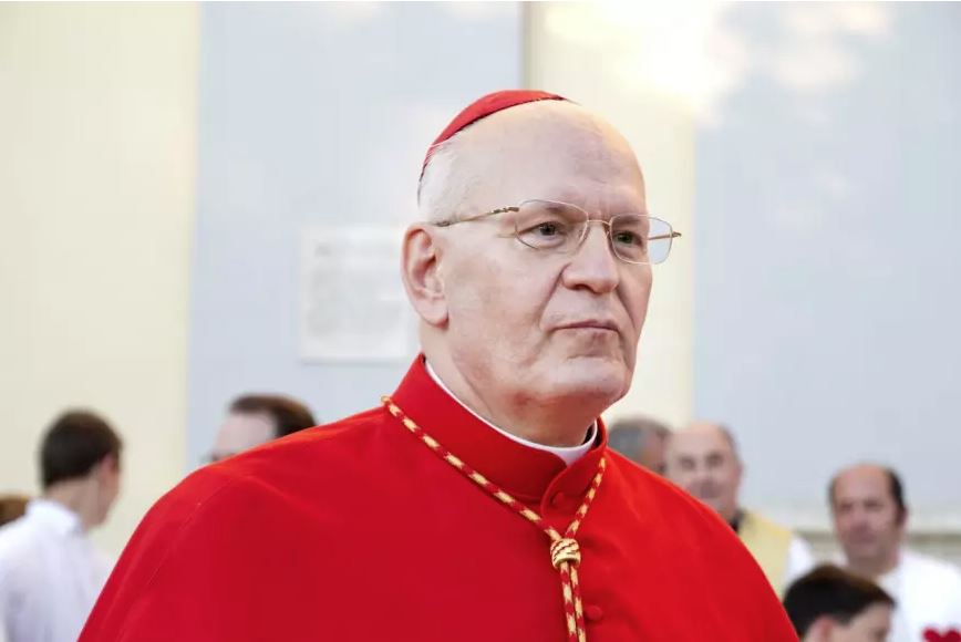 Világszerte ismert Erdő Péter egyházjogi munkássága | Fotó: MTI