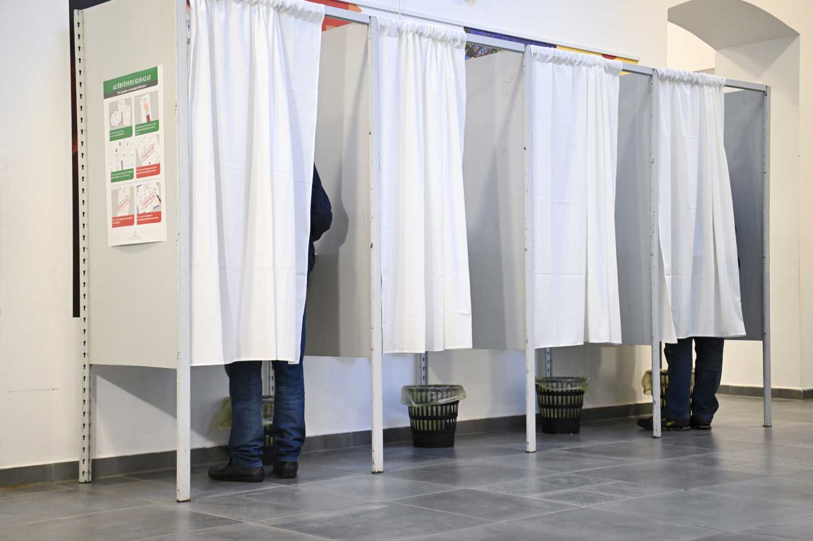 Elnököt választunk | Fotó: MTI