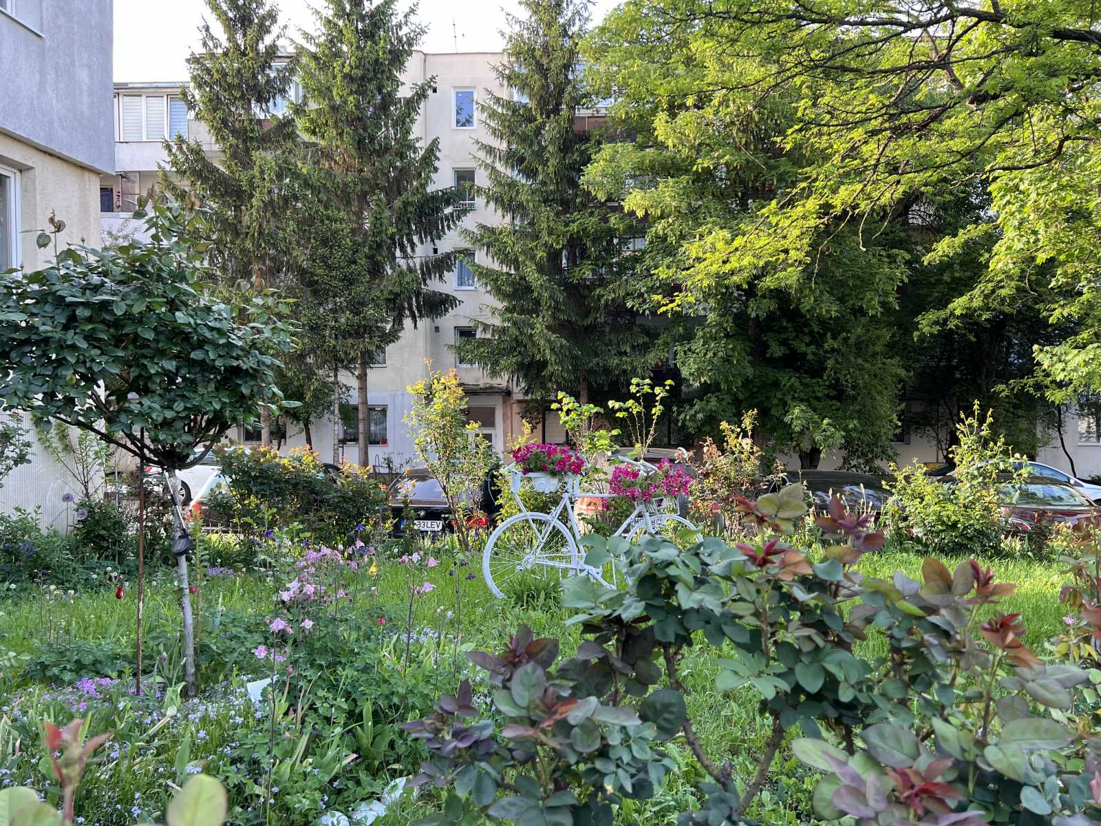 Tiszta udvar, rendes ház a tömbházak között | Fotó: Rákóczi Kinga