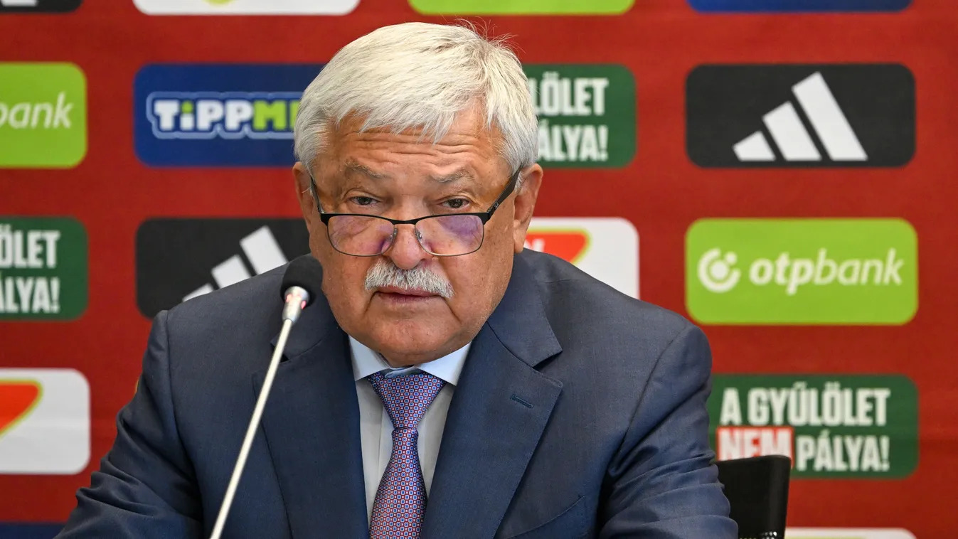Csányi Sándor 2010 óta az MLSZ elnöke | Fotó: MTI /Illyés Tibor