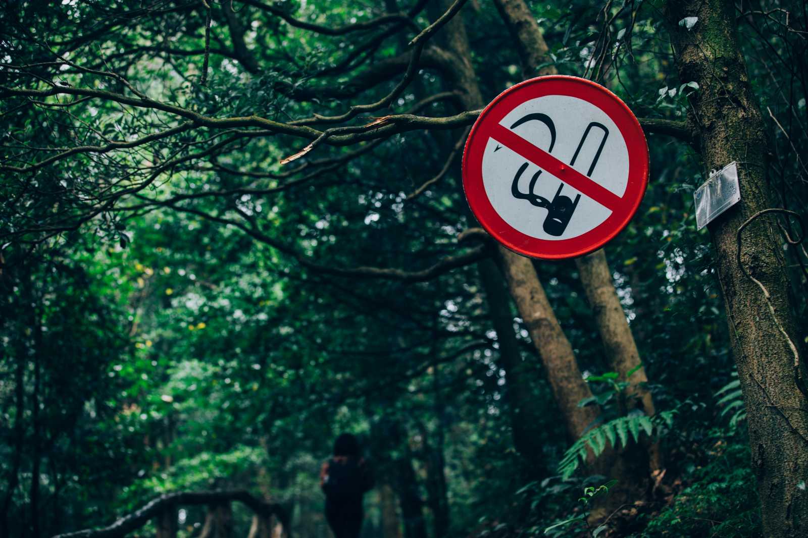 Csak a kijelölt helyeken lehet majd dohányozni a parkokban. | Fotó: Unsplash 