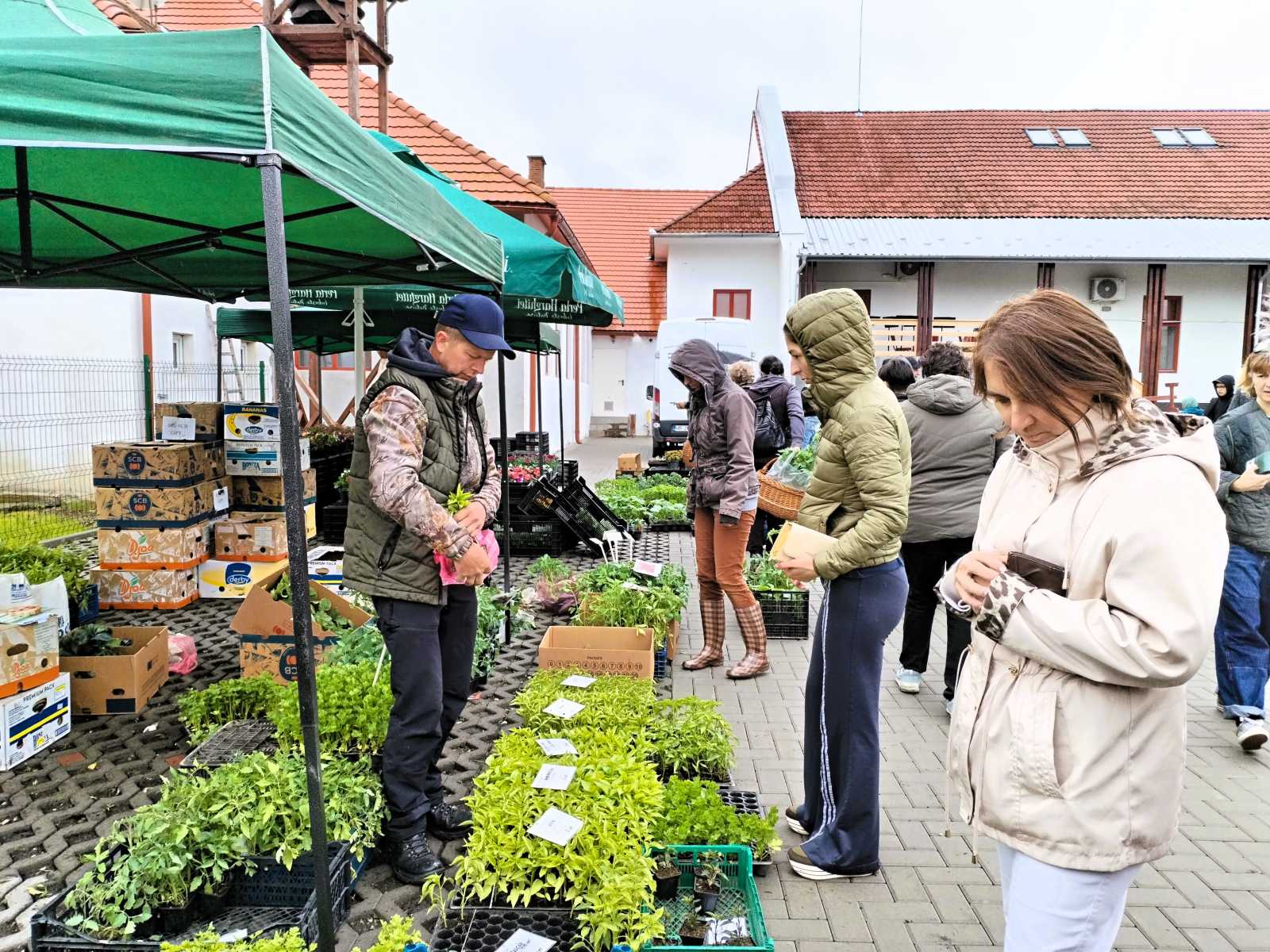 Számtalan fajta közül lehetett választani