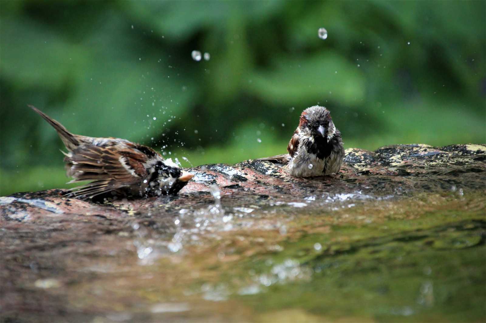Továbbra is csapadékos időre számíthatunk | Illusztráció: Unsplash