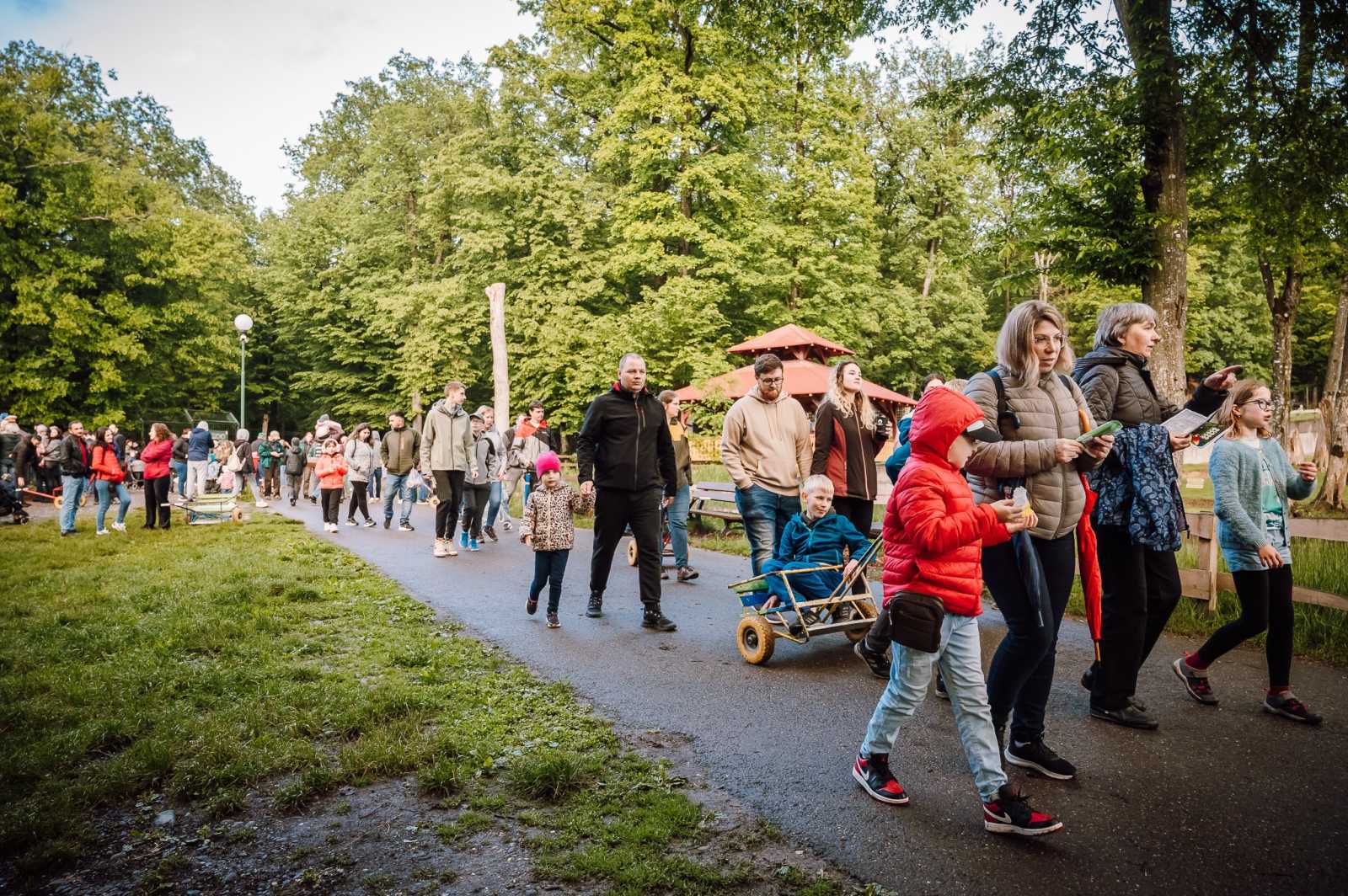 Közel 4000-en látogatták meg az állatkertet | Fotó: Maros Megyei Múzeum