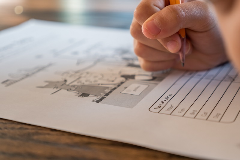 Felmérik a negyedikesek kompetenciáit | Fotó: Pexels