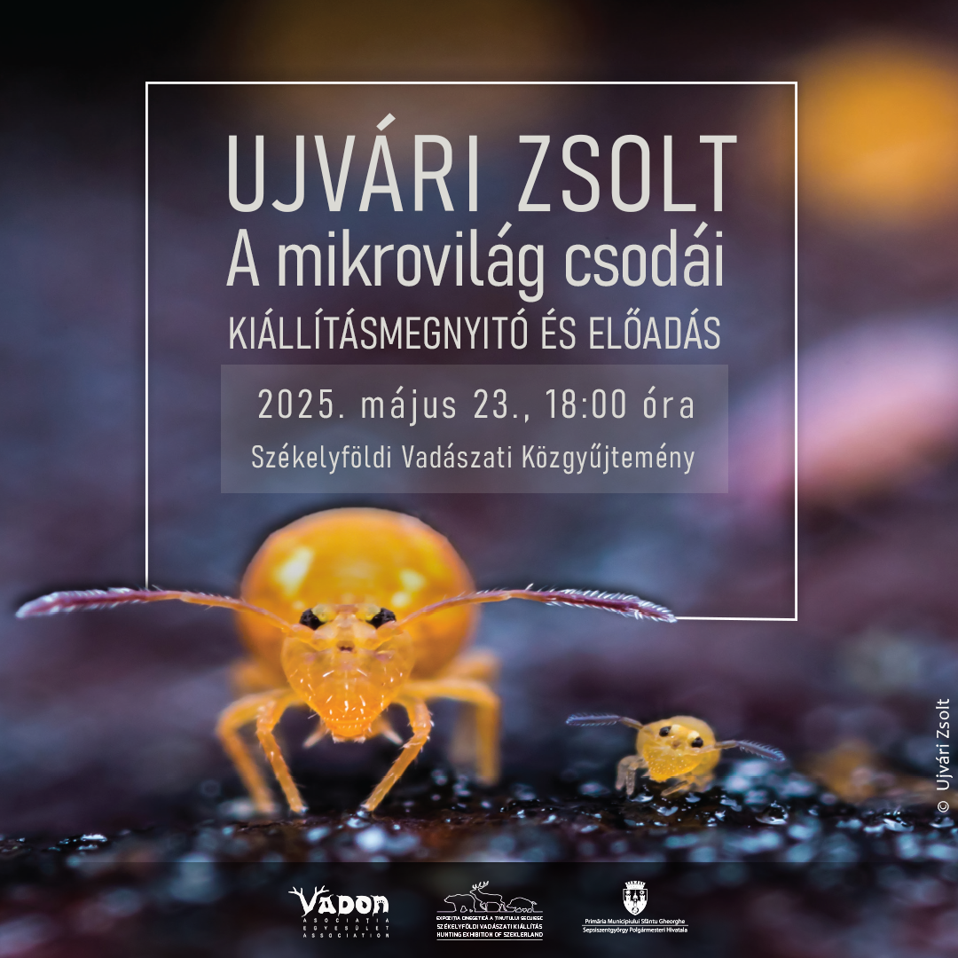 Különleges kiállítással ünneplik az évfordulót 