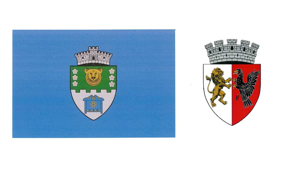 Sóvárad zászlaja és Nagyszalonta címere | Illusztráció: RMDSZ