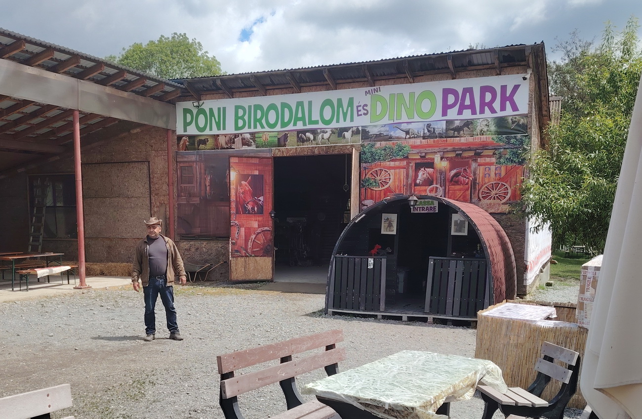 A dinópark lakói egytől-egyig házilag készültek | A szerző fotói