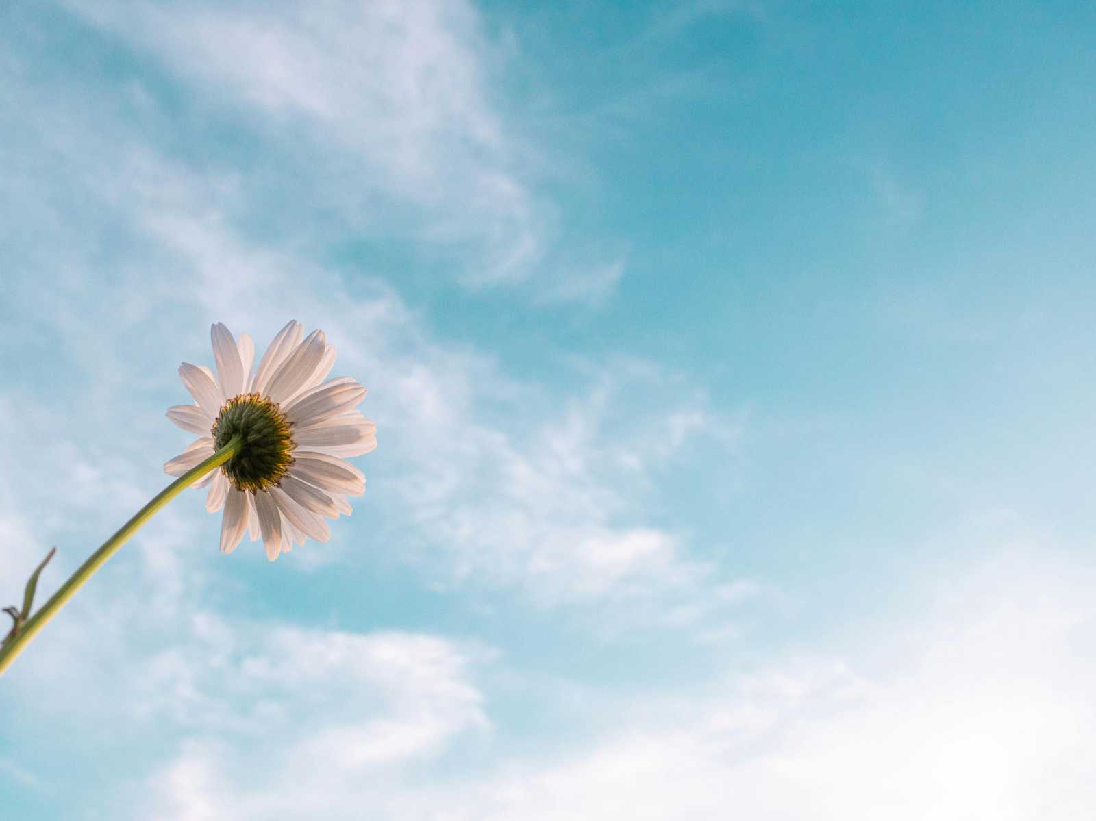 Jobb időnk lesz jövő héten. Csak néha várhatók záporok. | Fotó: Pexels