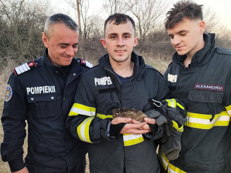 A lángok veszélyt jelentenek a természetes élőhelyekre és a környezetre