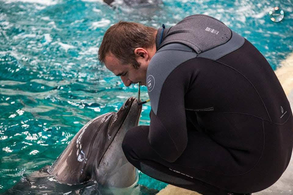 A népszerű delfin elpusztult | Fotó: konstancai delfinárium