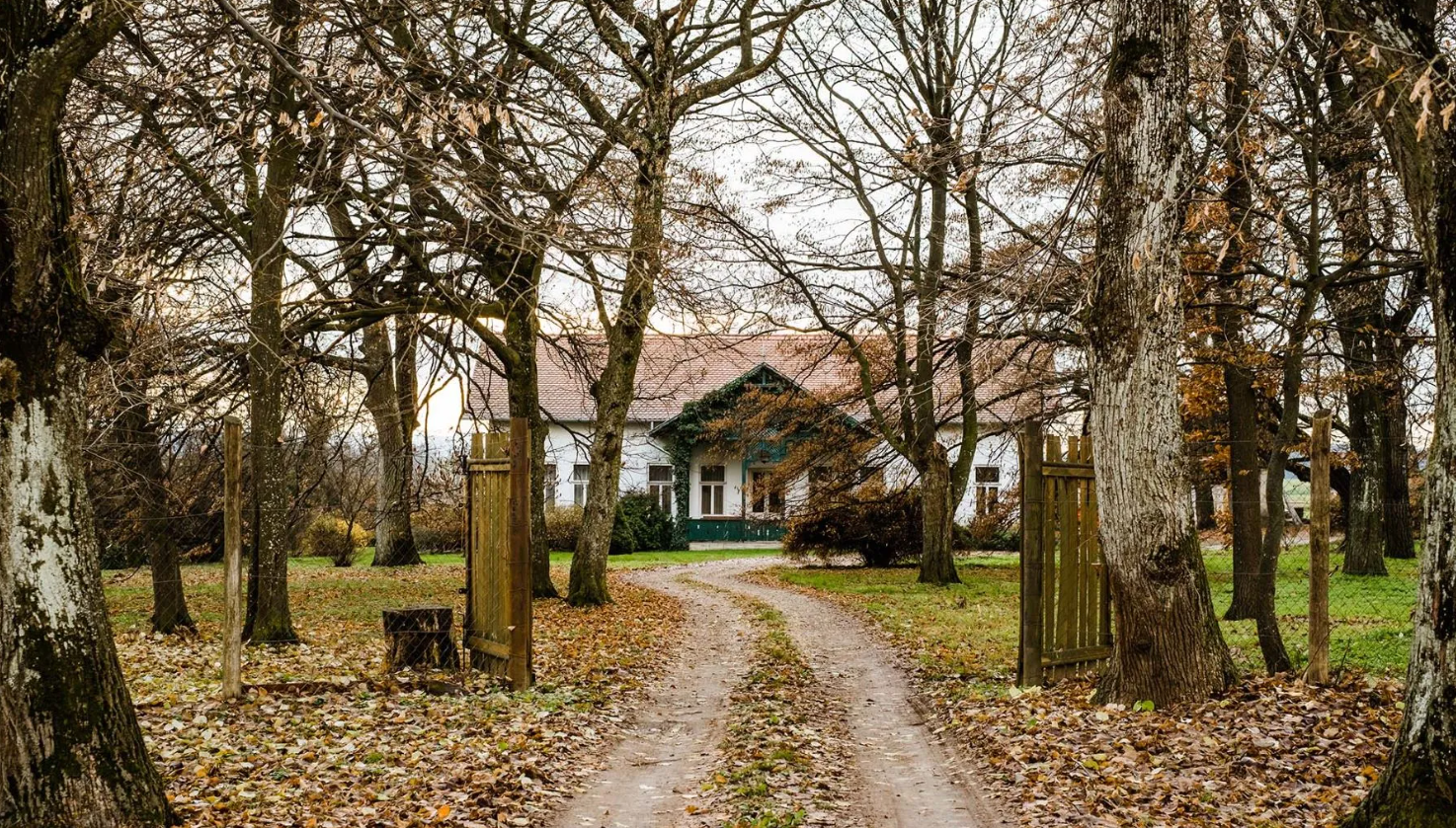Eladó a Zichy-család egykori vadászbirtoka | Fotó: Sothersby
