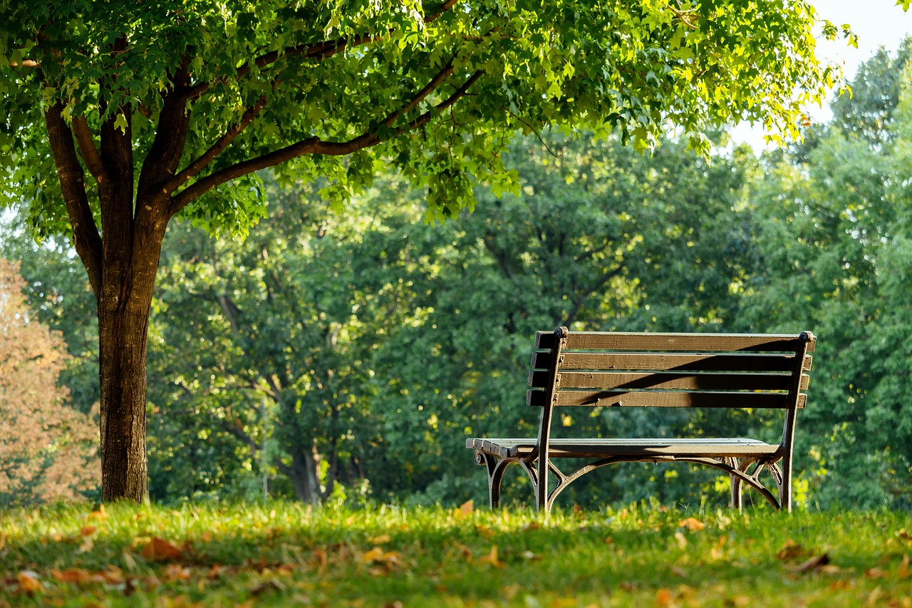 Kánikulában jobb a parkban, mint a hálószobában | Fotó: Pixabay