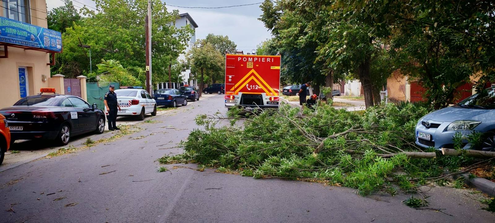 Fák dőltek az utakra és járdákra. | Fotók forrása: IGSU/Facebook
