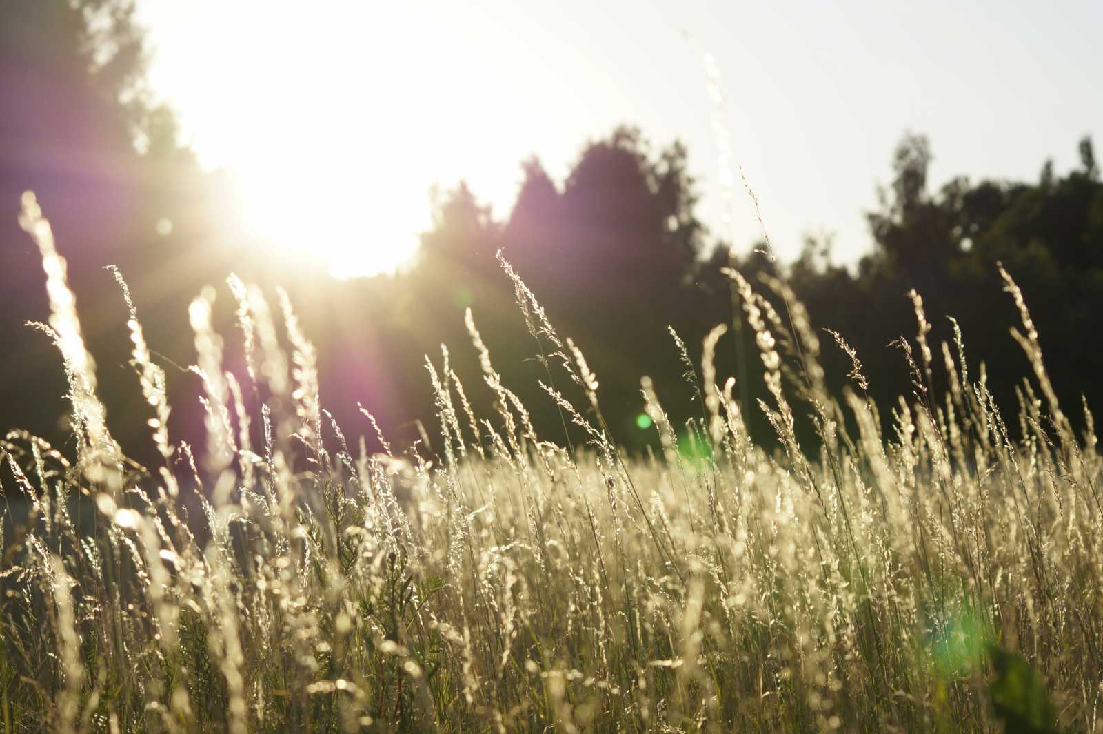 Kellemes időnk lesz az előrejelzések szerint. | Fotó: Unsplash
