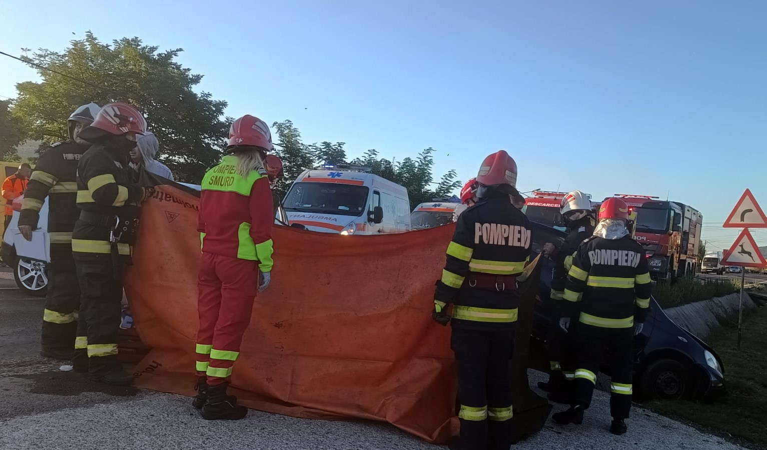 Sokáig próbálták újraéleszteni. | Fotó: Vâlcea megyei katasztrófavédelem