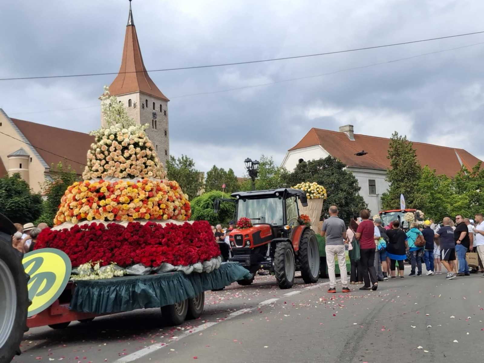 Csodálatos látvány | A szerző felvételei