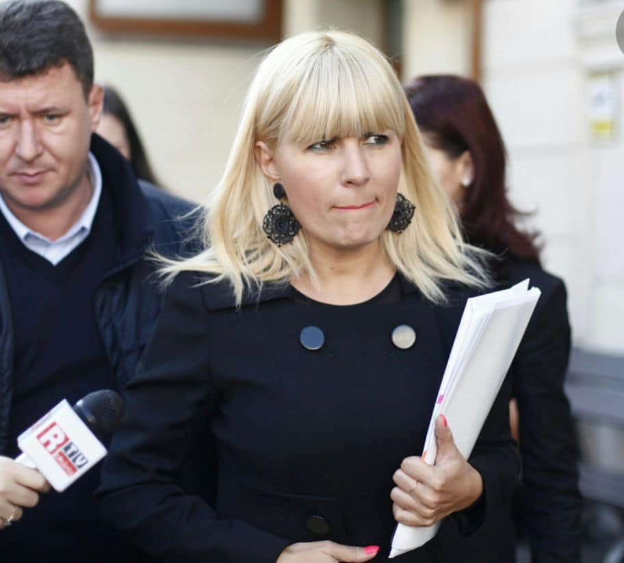 Még várnia kell | Fotó: Elena Udrea Facebook-oldala/archív felvétel