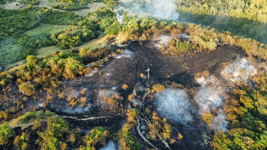 A szél miatt terjed a tűz | Fotó: Fehér Megyei Katasztrófavédelmi Felügyelőség