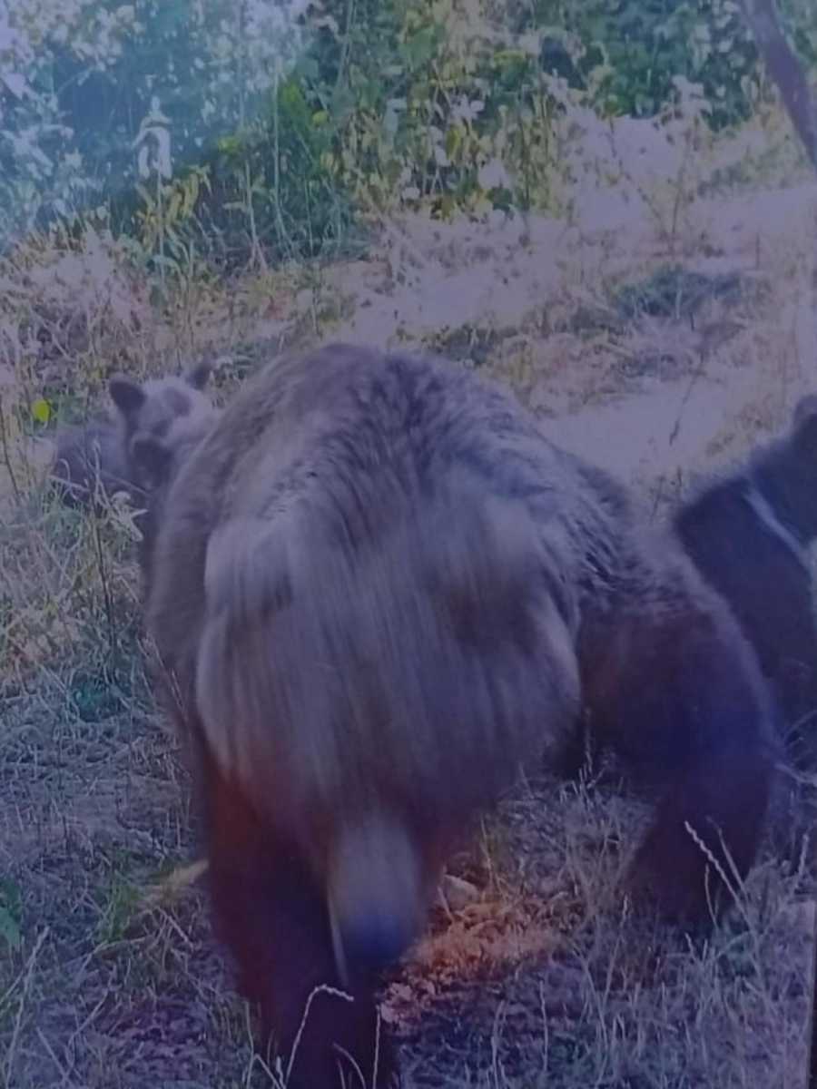 A támadás előtti pillanatok.