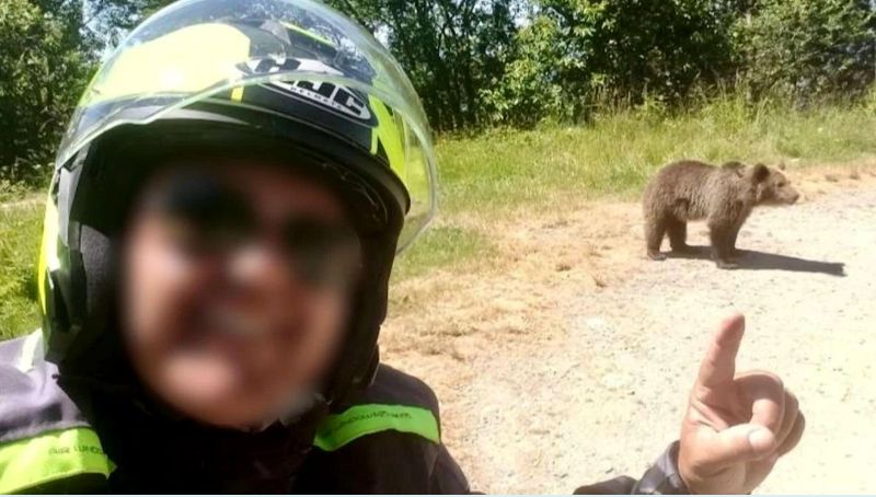 Fotózkodott, etetni akarta. | Fotó: képernyőmentés/adevarul.ro