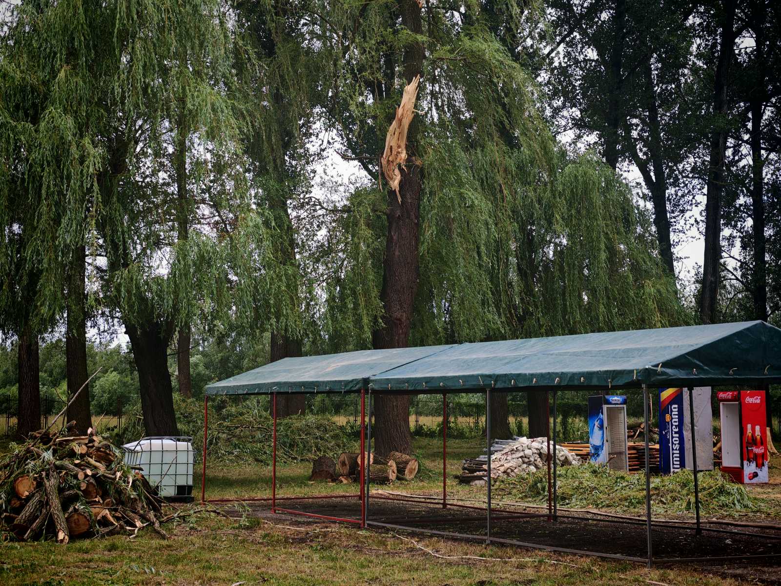Hatalmas fákat csavart ki a vihar a komplexum kertjében is | A szerző felvétele