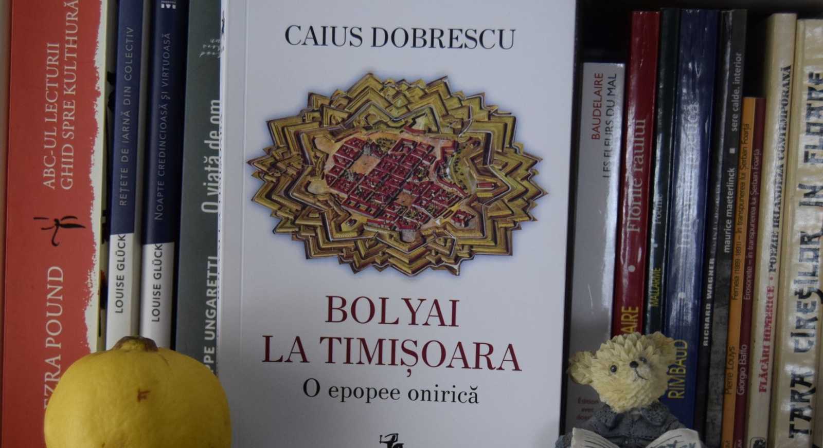Modern eposz Bolyairól, románul | Fotó: Facebook/Caius Dobrescu