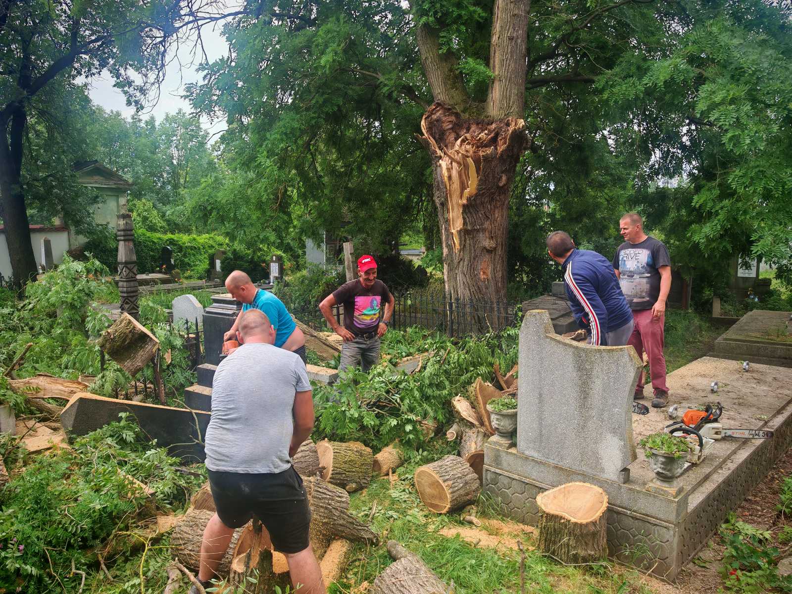 Van munka bőven. Rengeteg fát kicsavart a szél | Fotó: Nagy Imre