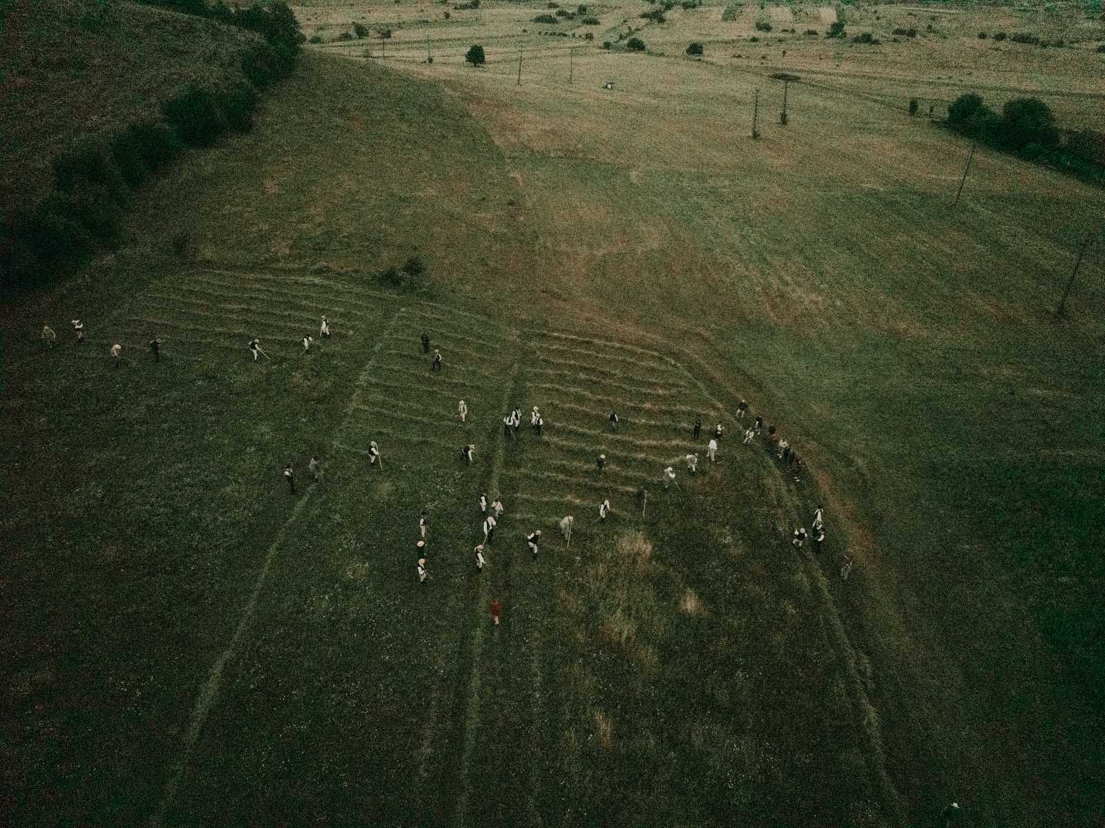 Bakalja egész hétvégén át hangos lesz a kalákázóktól. Ha a férfiak végeztek a munkával, érkeznek a nők, akik elpallják majd a rendet, hogy jól száradjon.