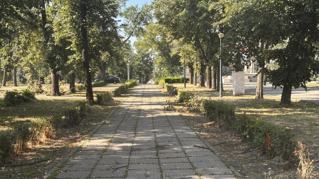 Elkezdik a munkát | Fotó: Nagyváradi Polgármesteri Hivatal