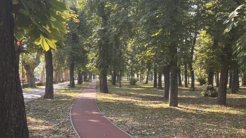 A Bunyitai-ligetet is felújítják | Fotó: Nagyvárad Polgármesteri Hivatala