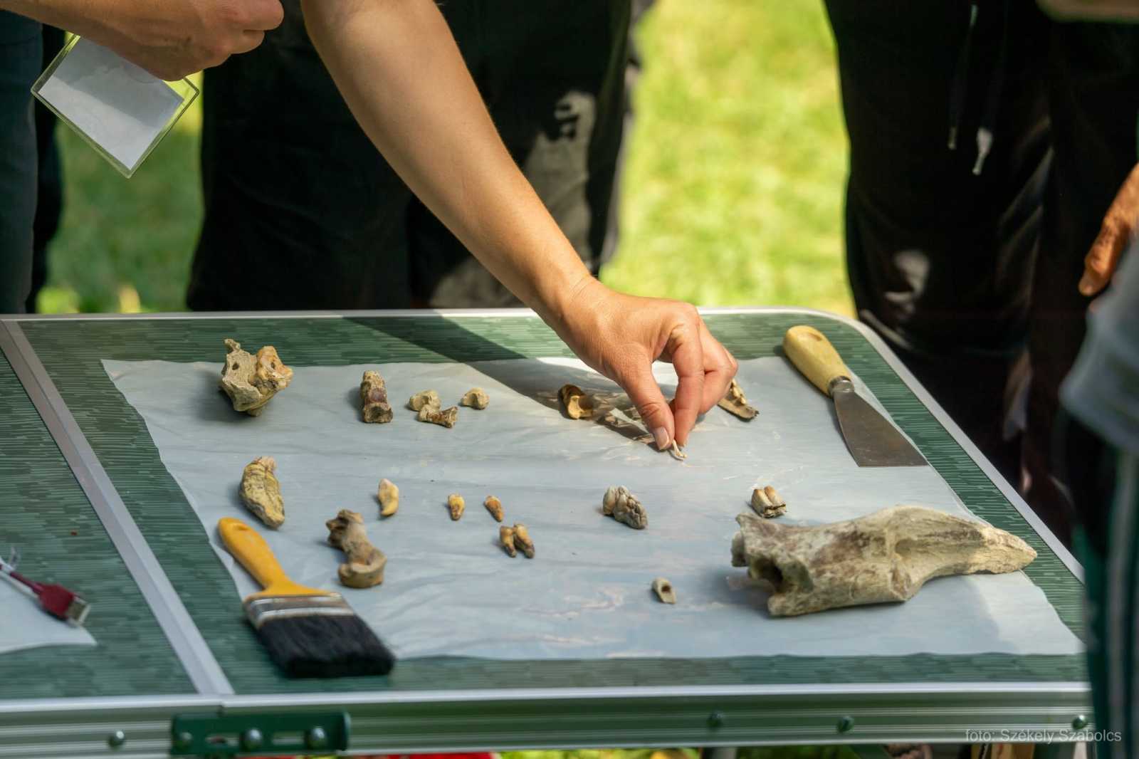 Értékes régészeti lelőhely van a Vargyas-szoroban | Fotó: Muzeul Naţional al Carpaţilor Răsăriteni/Facebook