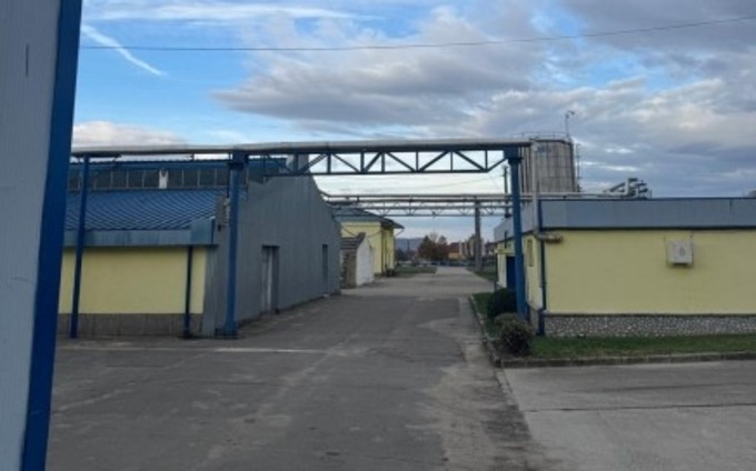 Házkutatást tartottak Miculáék cégeinél | Fotó: Román Rendőrség