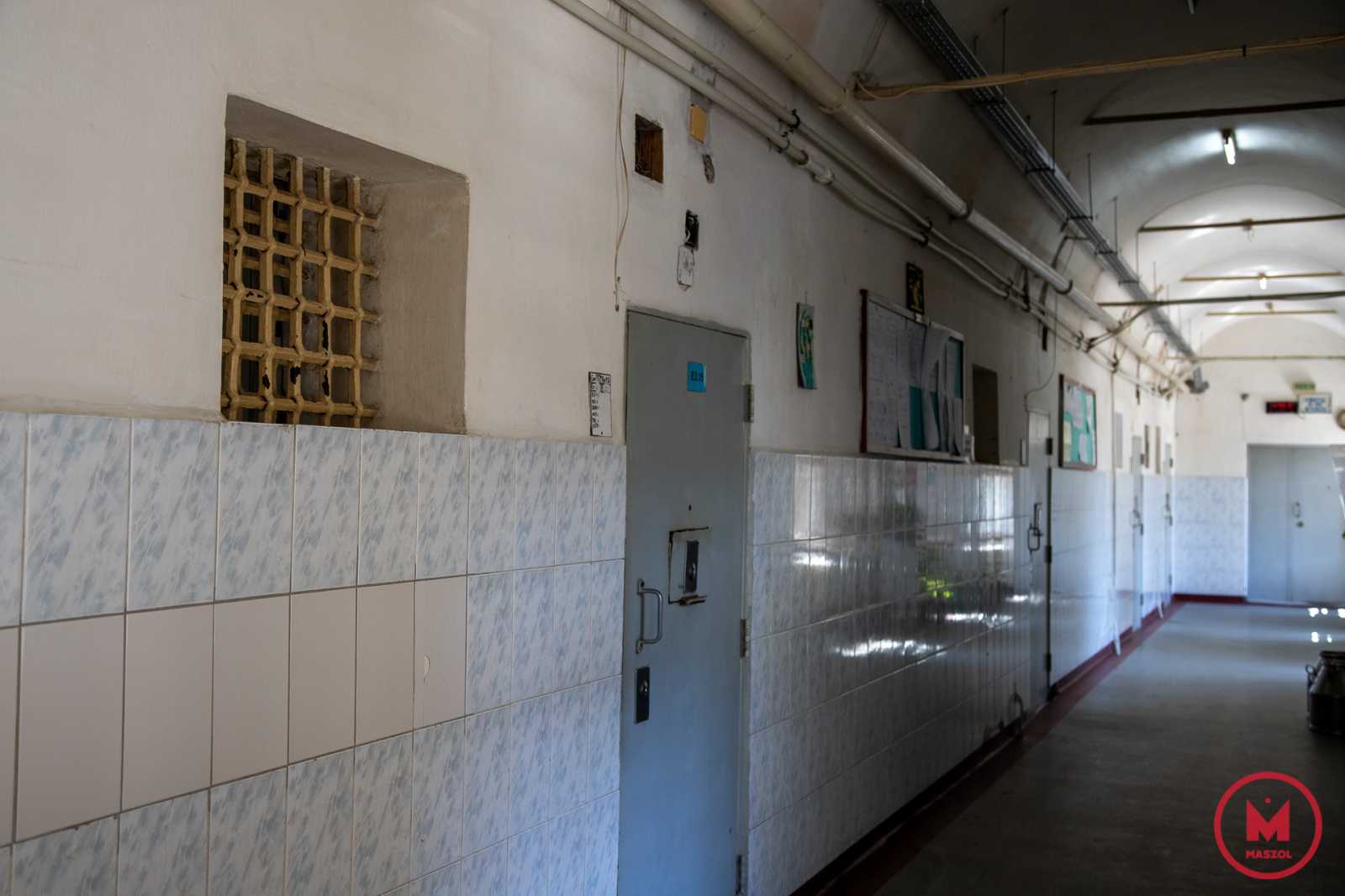 Az ápolonő ellen korlátozó intézkedéseket kértek | Illusztráció: B. B.