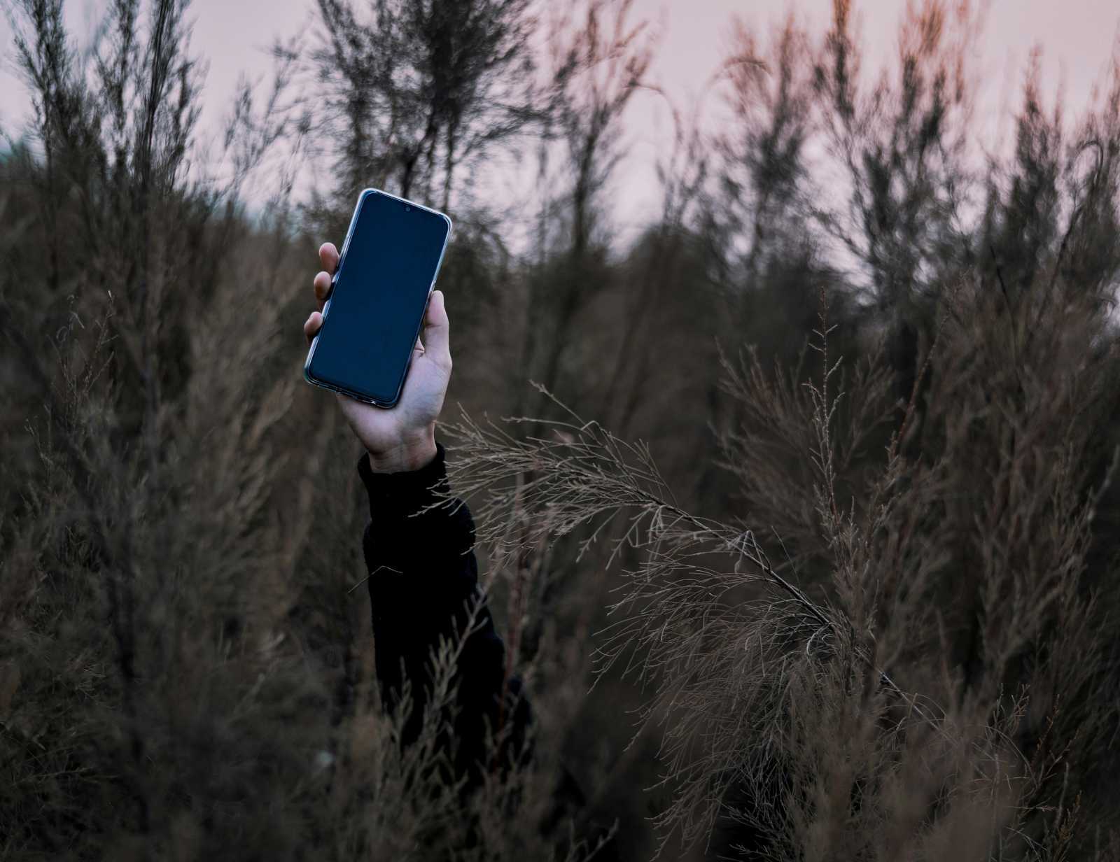 Az alkamazással offline töltött időt lehet "gyűjteni" | Illusztráció: Unsplash