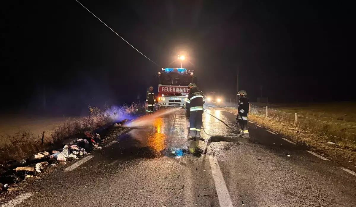 Nem látta a szekeret az autó sofőrje, belehajtott. 