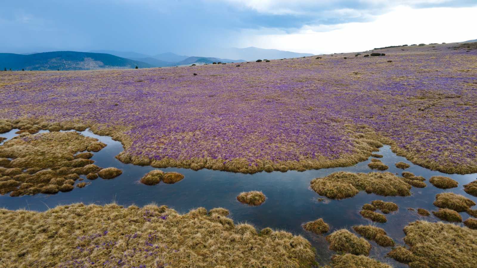  A tervezet sérti az egészséges környezethez való alkotmányos alapjogot. | Illusztráció | Fotó forrása: Parcul Național Apuseni Facebook-oldala