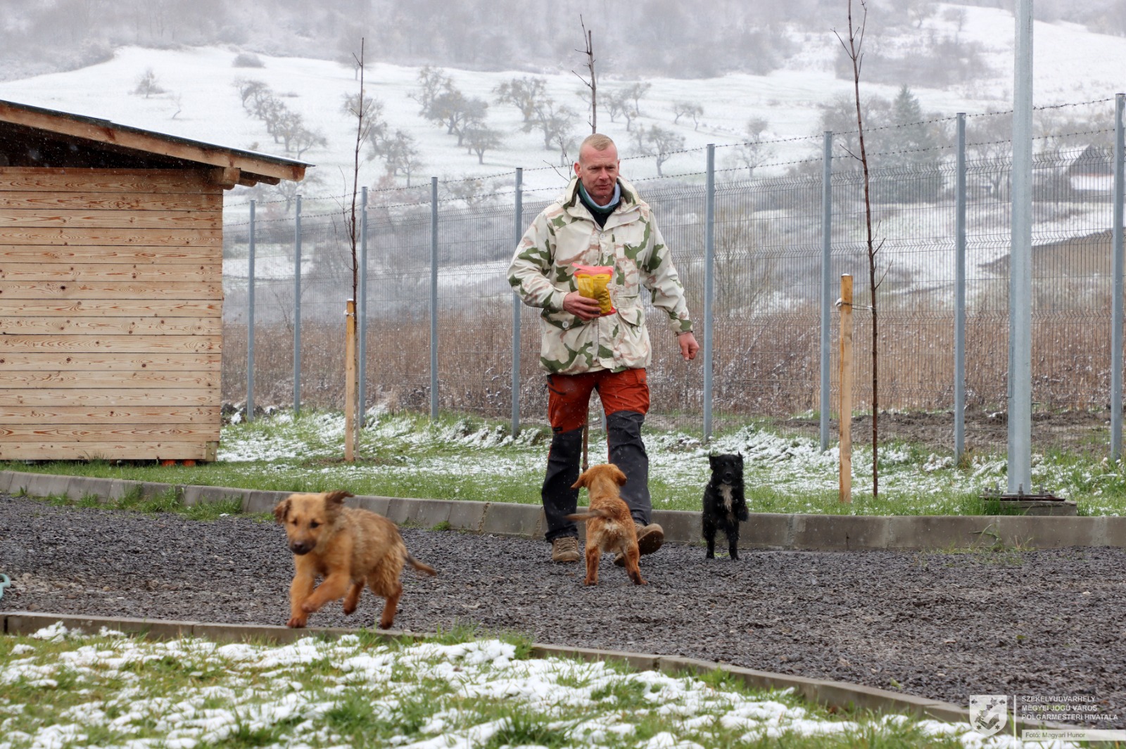 A munkatársak, önkéntesek lelkesedése nem pótolhatja a társadalmi felelősségvállalást.