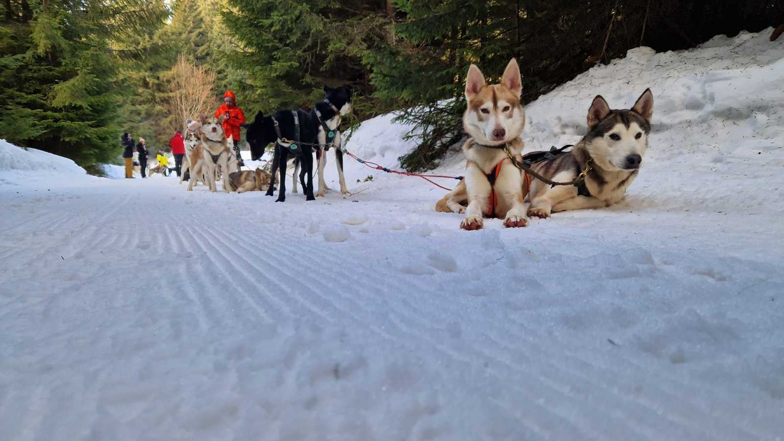 Hargita megye minden évszakban kínál kikapcsolódási lehetőséget | Fotó: Visit Harghita