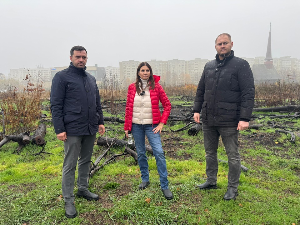 Anca Alexandrescu kampányol. Az AUR mögötte áll Fotó: Anca Alexandrescu Facebook oldala